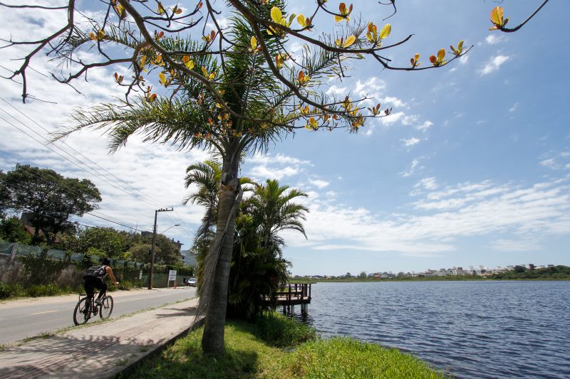 Avenida Campeche ao lado da Lagoa Pequena – Foto: Leo Munhoz/ND