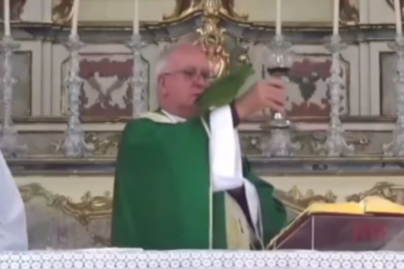 Maritaca chamou aten&ccedil;&atilde;o ao querer beber o vinho do padre durante a missa – Foto: Internet/Reprodu&ccedil;&atilde;o