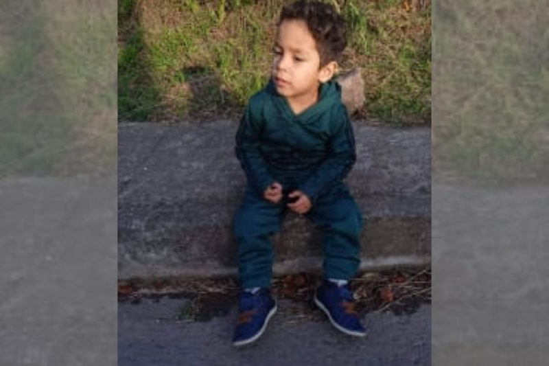 Menino de 3 anos morreu atropelado por caminh&atilde;o em Campo Alegre – Foto: Internet/Reprodu&ccedil;&atilde;o