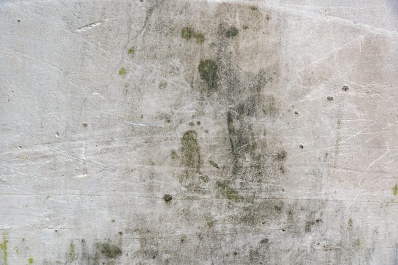 Mofo pode prejudicar paredes, m&oacute;veis e roupas – Foto: ilovehz/Freepik