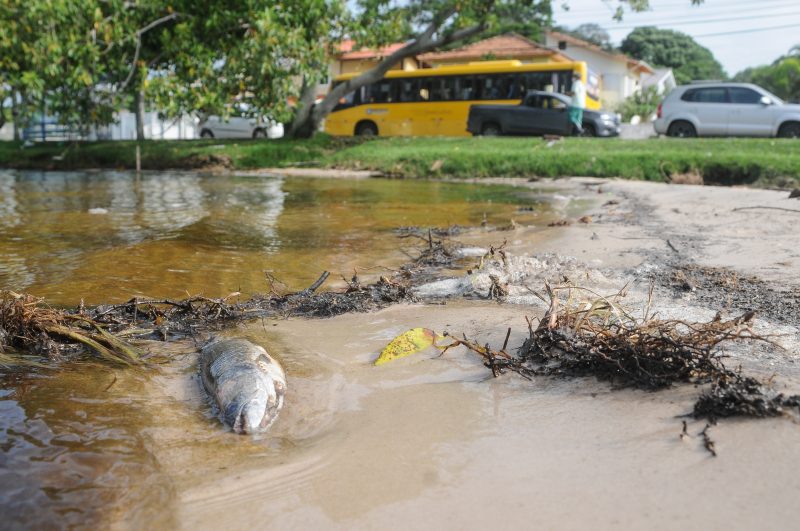 Lagoa da Concei&ccedil;&atilde;o na regi&atilde;o da Avenida Rendeiras – Foto: Leo Munhoz/ND