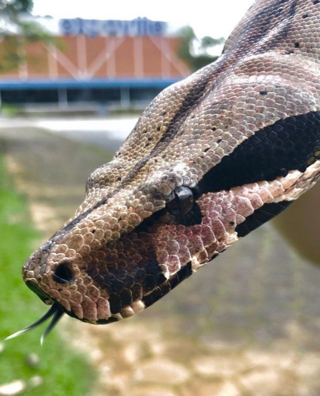 Jade tem seis anos – Foto: Divulga&ccedil;&atilde;o/ND