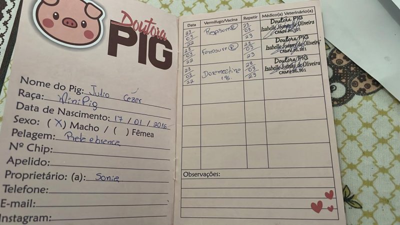 Julio tem a pr&oacute;pria carteirinha de vacina&ccedil;&atilde;o – Foto: Arquivo Pessoal