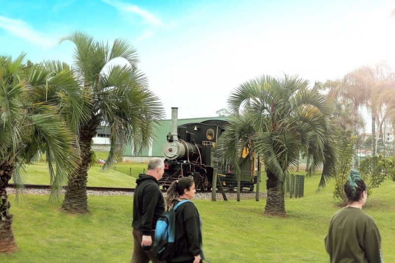 Primeiro ato ser&aacute; a cria&ccedil;&atilde;o do comit&ecirc; gestor e a discuss&atilde;o de demandas dos setores envolvidos no nicho – Foto: Divulga&ccedil;&atilde;o/ND