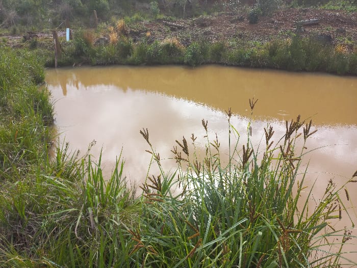O SAMU foi acionado e tentou reanimar o menino, mas sem sucesso. – Foto: Pol&iacute;cia Militar/ND