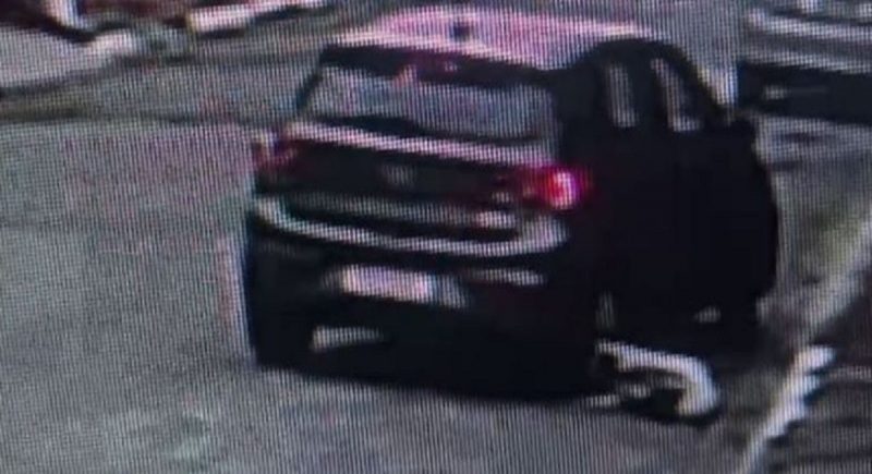 Imagens mostram cachorro embaixo da roda traseira do carro – Foto: Reprodu&ccedil;&atilde;o