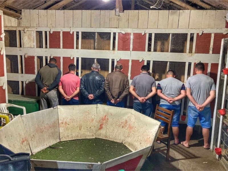 presos em rinha de galo em São José