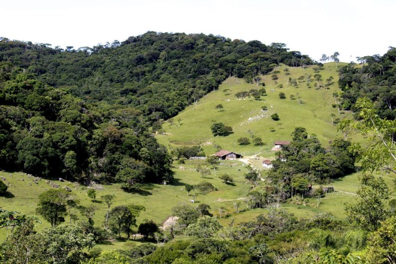 Sert&atilde;o do Ribeir&atilde;o – Foto: Arquivo/Beatriz Carrasco/ND