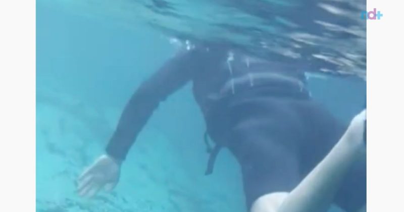 Turista primeiro se surpreende, depois entra na &aacute;gua para admirar a beleza das sucuris – Foto: Reprodu&ccedil;&atilde;o