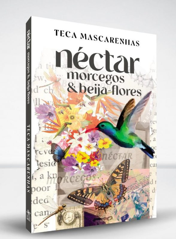 Nova obra da escritora Teca Mascarenhas – Foto: Divulga&ccedil;&atilde;o