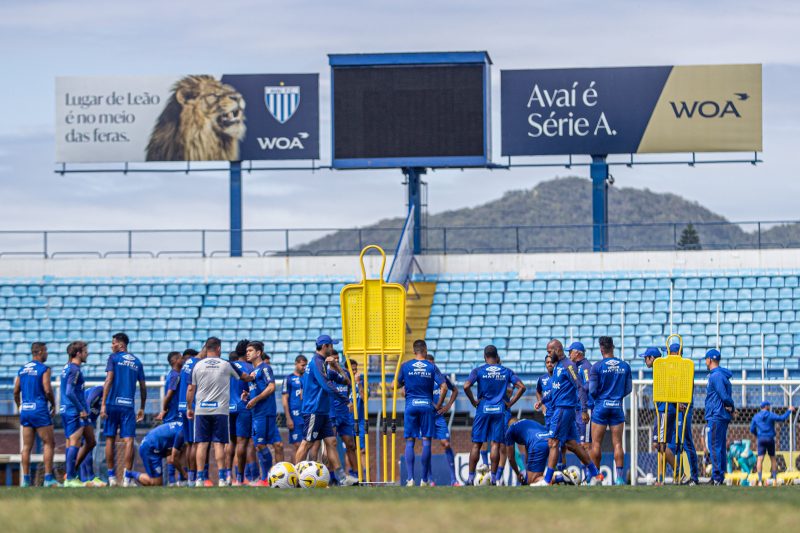 Ava&iacute; enfrenta o Fluminense neste domingo – Foto: Leandro Boeira/Ava&iacute; F.C/ND