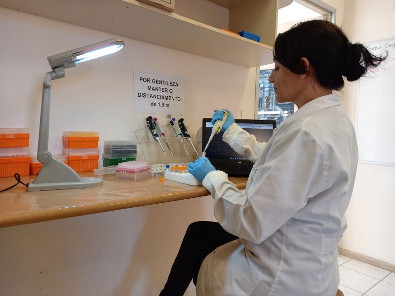 professora coautora estudo avc