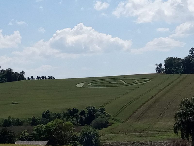 Esse &eacute; o maior e mais bonito desenho visto no munic&iacute;pio. &mdash; Foto: Valeria Cenci/ND