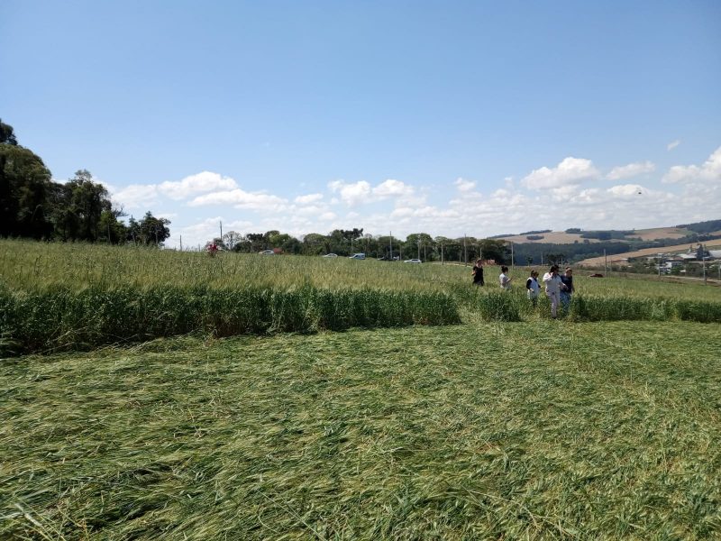 A interfer&ecirc;ncia nos aparelhos digitais coincide com as falhas nas c&acirc;meras de seguran&ccedil;a durante a noite anterior. – Foto: Valeria Cenci/ND