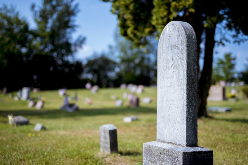 visitar túmulos de pedra lado a lado em um cemitério com grama e árvores