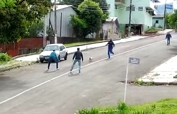 Vitor conta que a suspeita &eacute; de que o animal tenha fugido de alguma propriedade rural da linha Santa Catarina. – Foto: Vitor Ariel Vacarin/Reprodu&ccedil;&atilde;o/ND