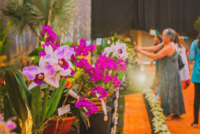 Expositores tinham uma variedade de produtos para comercializa&ccedil;&atilde;o – Foto: Luis Debiasi/@soubemjoinville/ND