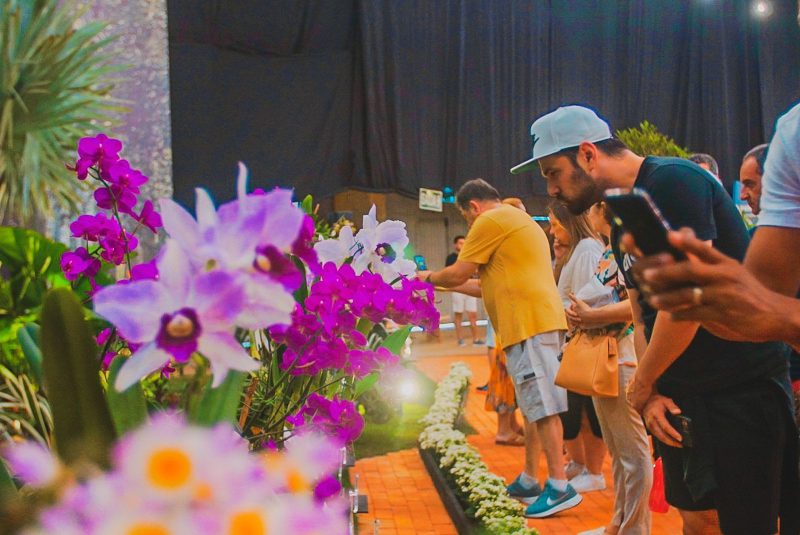 Neste ano a festa contou com mais de 1,8 mil exemplares de orqu&iacute;deas – Foto: Luis Debiasi/@soubemjoinville/ND