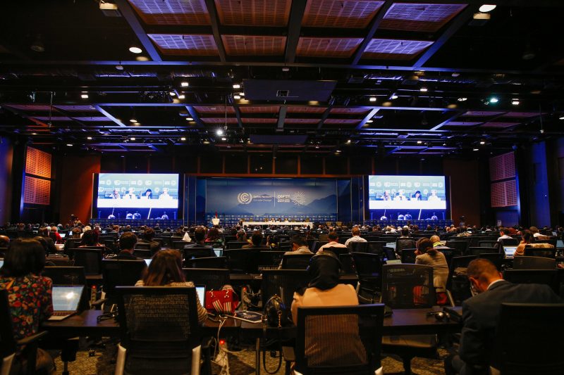 COP 27 acontece no Egito durante o m&ecirc;s de novembro – Foto: Johann Olivier/UNclimatechange/Divulga&ccedil;&atilde;o/ND