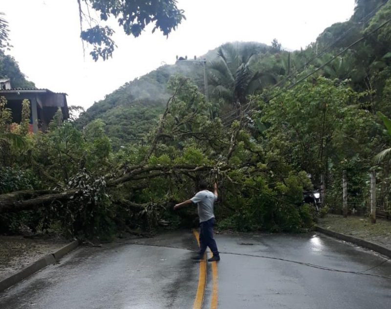 Quedas de &aacute;rvores e pista molhada alteram transporte coletivo em Blumenau; veja quais linhas – Foto: Divulga&ccedil;&atilde;o/Prefeitura de Blumenau