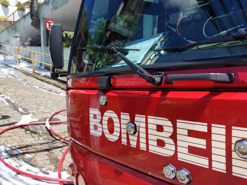Abelhas atacaram o servidor e crian&ccedil;as em uma escola de Blumenau – Foto: Divulga&ccedil;&atilde;o/Corpo de Bombeiros de Blumenau/ND