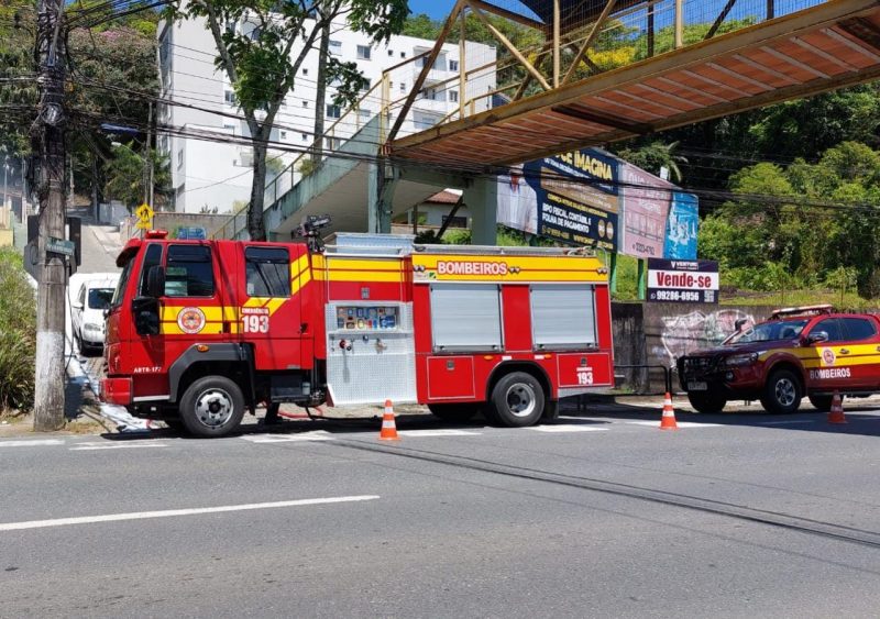 Abelhas atacaram o servidor e crian&ccedil;as em uma escola de Blumenau – Foto: Divulga&ccedil;&atilde;o/Corpo de Bombeiros de Blumenau/ND