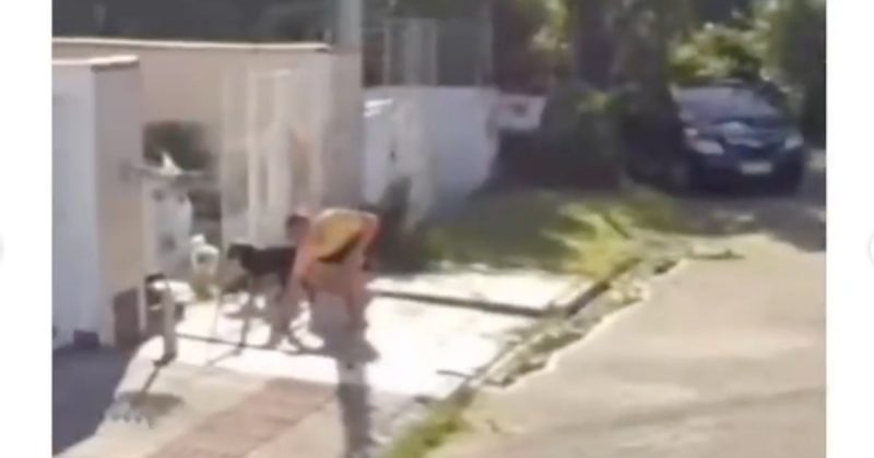 “Depois voc&ecirc; prepara a cena para ser visto pelo mundo todo” – Foto: Reprodu&ccedil;&atilde;o