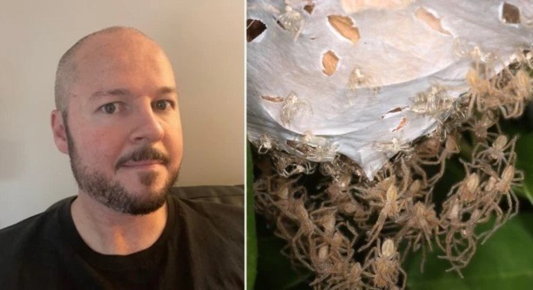 Australiano encontrou a aranha no porta-malas do carro – Foto: Reprodu&ccedil;&atilde;o/PEN NEWS via METRO UK/ND