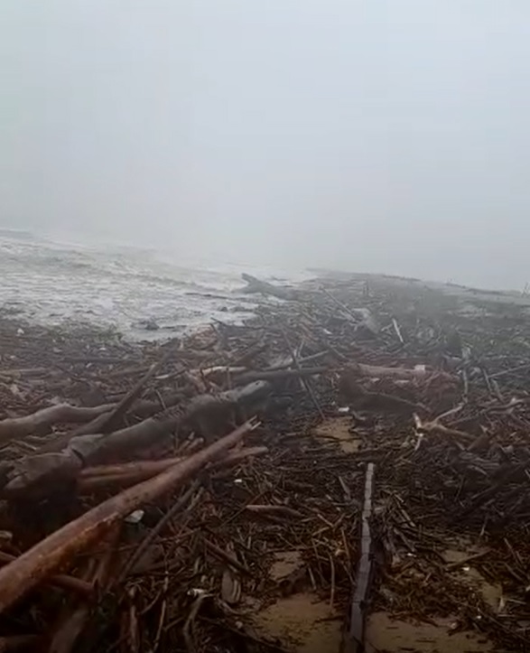 Galhos e sujeira foram flagrados na manh&atilde; desta quarta-feira (30), na Boca da Barra – Foto: Reprodu&ccedil;&atilde;o/Internet