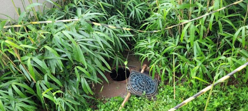 Local onde o feto foi encontrado. – Foto: Pol&iacute;cia Militar/Divulga&ccedil;&atilde;o ND