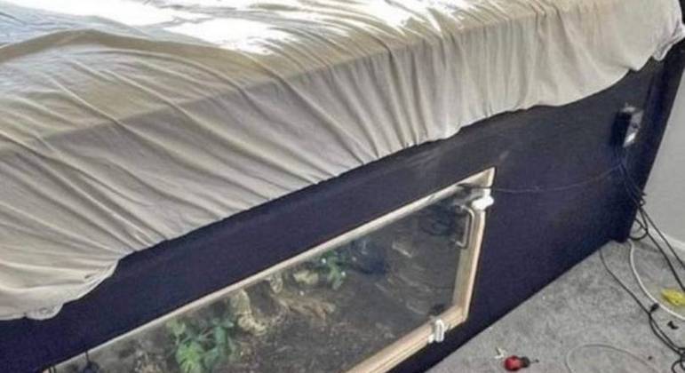 Bed with snake compartment for sale online - Photo: Reproduction/Internet/ND