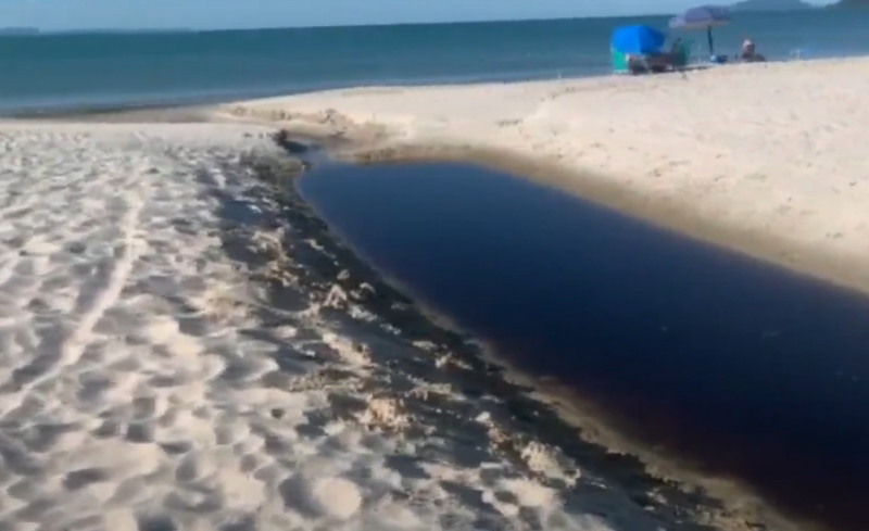 Moradores denunciam mancha escura na praia de Canajur&ecirc; em Florian&oacute;polis – Foto: Reprodu&ccedil;&atilde;o/NDTV RecordTV