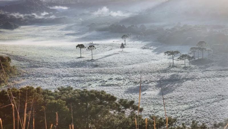 Cen&aacute;rio congelante &eacute; registrado na Serra Catarinense em pleno novembro – Foto: Reprodu&ccedil;&atilde;o/Mycchel Legnaghi/S&atilde;o Joaquim Online/ND