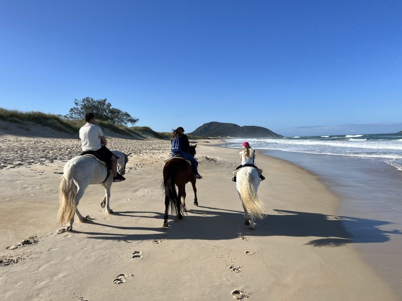 Passeio a cavalo por trilha em Atibaia - Reserve em  Brasil