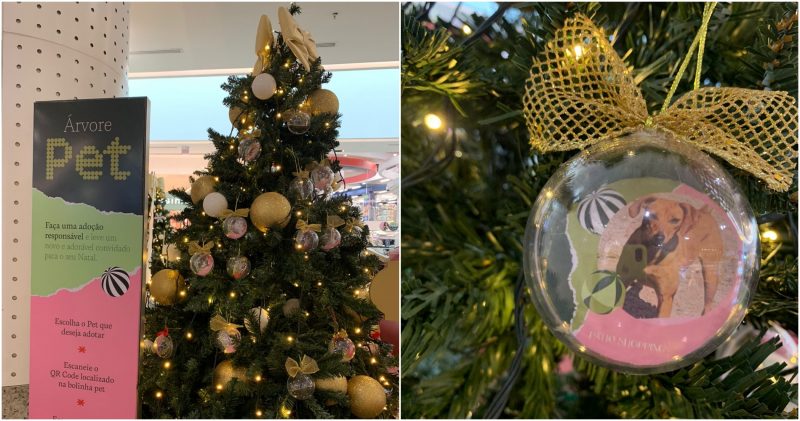 Fotos de animais para ado&ccedil;&atilde;o decoram &aacute;rvore de Natal em Chapec&oacute; – Foto: Divulga&ccedil;&atilde;o/ND