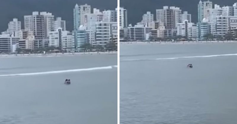 Casal &eacute; flagrado protagonizando movimentos sexuais em Itapema – Foto: Reprodu&ccedil;&atilde;o/Internet