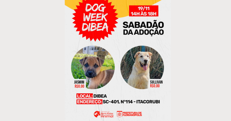 Evento ocorrer&aacute; no s&aacute;bado (19) – Foto: Dibea/Divulga&ccedil;&atilde;o/ND