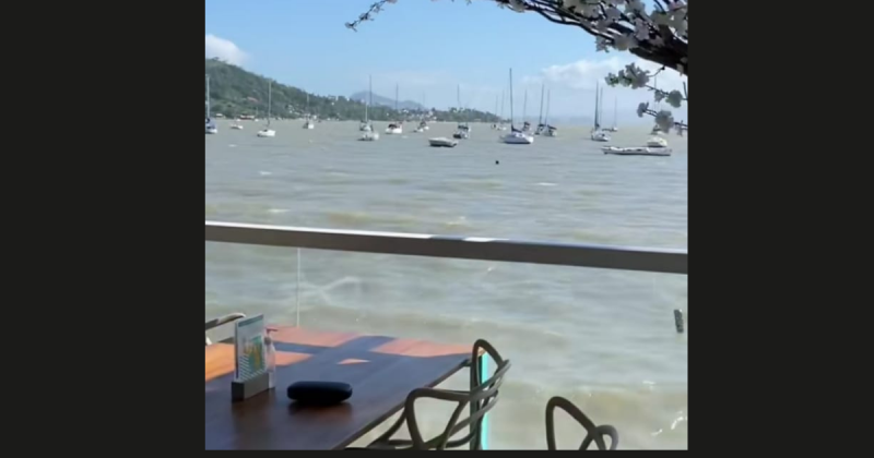 No restaurante, at&eacute; os pratos tem um foco no visual para as fotos tiradas pelos clientes- Foto: TikTok/Divulga&ccedil;&atilde;o/ND