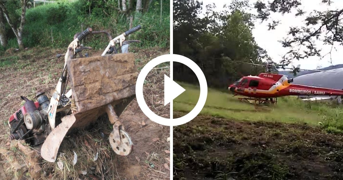 Vídeo chocante mostra ratos triturados por máquina agrícola - Hora