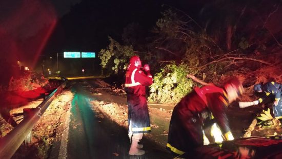 Chuva intensa provoca abertura de cratera na BR-280 na Serra do Corupá