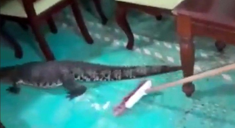 Na base da vassourada, mexicana conseguiu tirar o bicho de dentro de casa – Foto: Reprodu&ccedil;&atilde;o/Internet/NY POST/R7