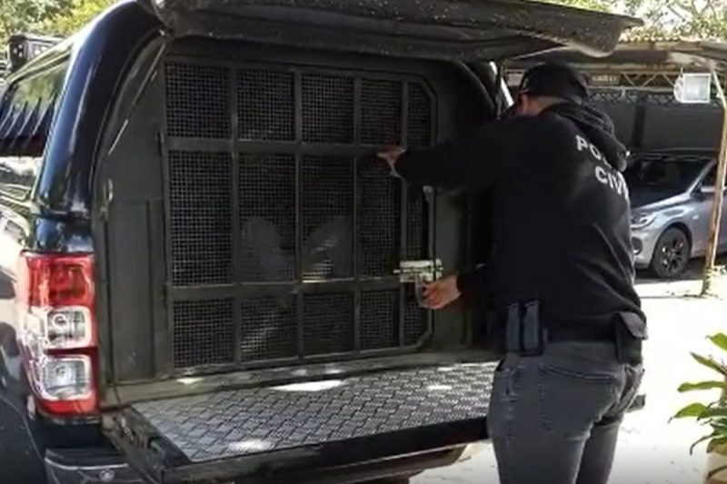 Pris&atilde;o aconteceu na manh&atilde; desta sexta-feira (4), em S&atilde;o Jos&eacute; dos Pinhais, no Paran&aacute; – Foto: Pol&iacute;cia Civil/Divulga&ccedil;&atilde;o/ND