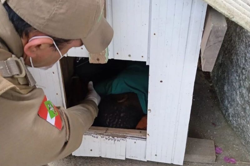 Crian&ccedil;a foi encontrada dormindo em casinha de cachorro na manh&atilde; desta sexta-feira (18) – Foto: Pol&iacute;cia Militar/Divulga&ccedil;&atilde;o