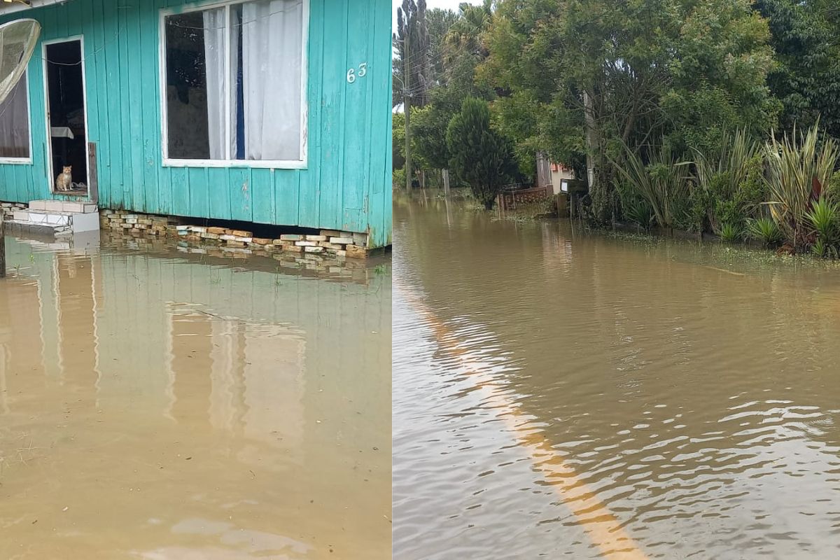 Chuva intensa provoca abertura de cratera na BR-280 na Serra do Corupá