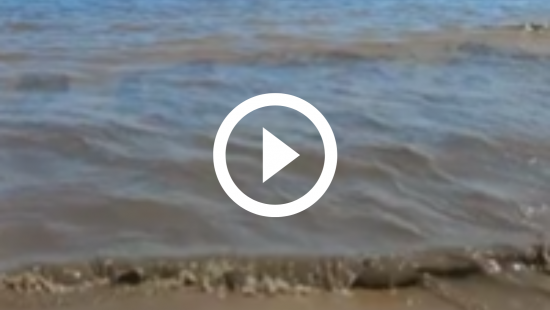VÍDEO: Mancha escura em praia aponta possível crime ambiental em Florianópolis