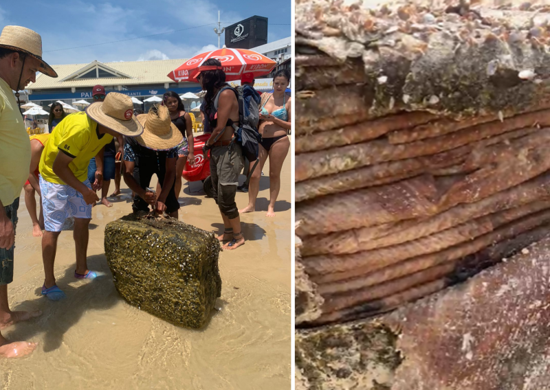 Caixa foi encontrada por moradores da regi&atilde;o dos Ingleses, na manh&atilde; desta segunda-feira (21) – Foto: Amoris/Divulga&ccedil;&atilde;o/ND