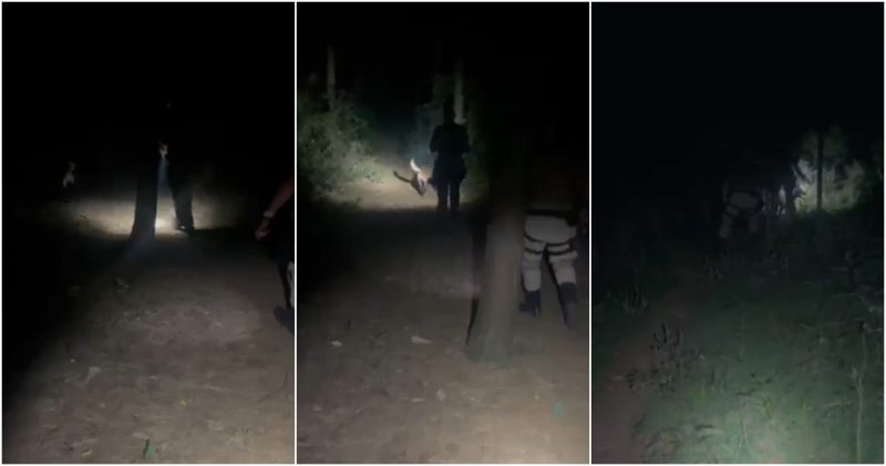 Crian&ccedil;a some em mata fechada na fronteira de SC com a Argentina – Foto: Pol&iacute;cia Militar/ND