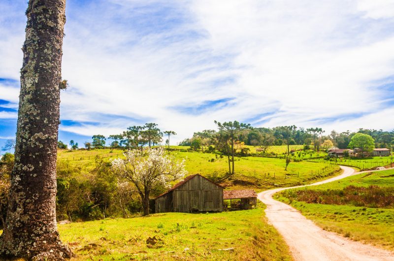 Estrada Geral Lomba Alta – Foto: Ieda Funari