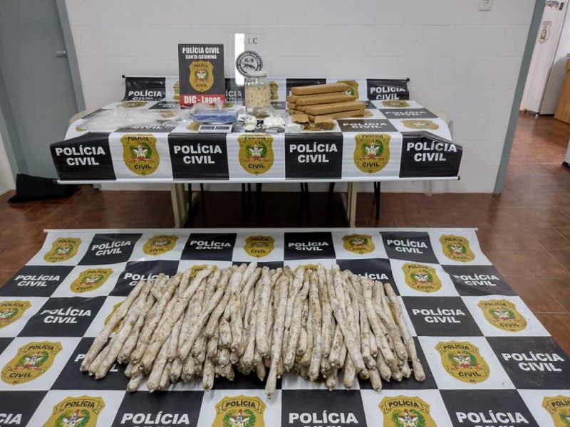 Homem faz parte de uma organiza&ccedil;&atilde;o criminosa da regi&atilde;o – Foto: Pol&iacute;cia Civil/Divulga&ccedil;&atilde;o/ND
