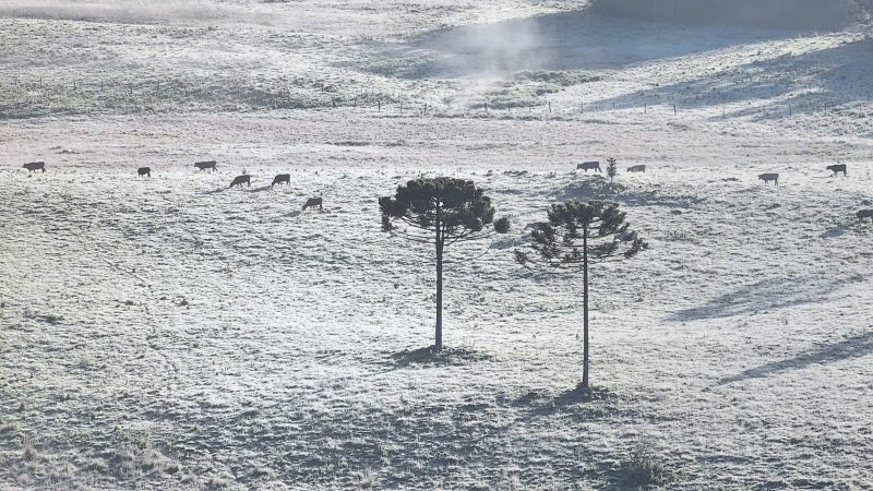 Cidade de São Joaquim na serra catarinense registrou com 1.4 º C na madrugada deste sábado (18)
